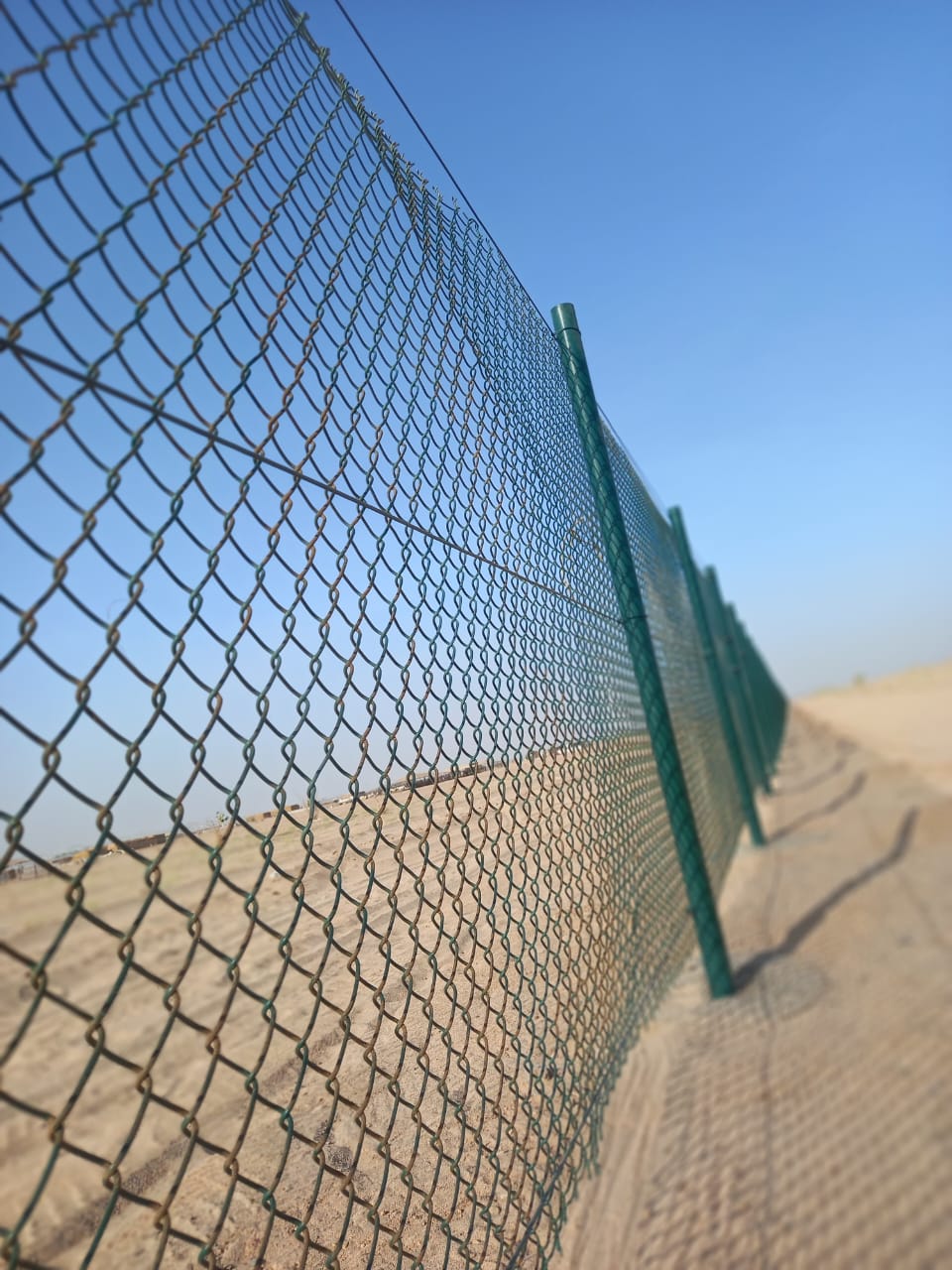 مشروع محمية ضباء